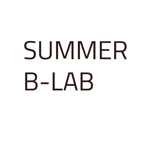 Summer B-Lab