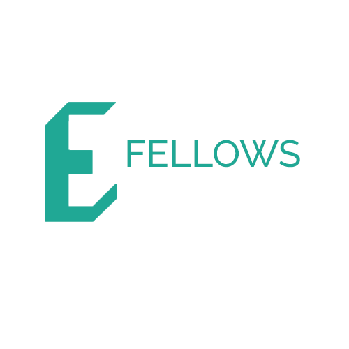 E-Fellows