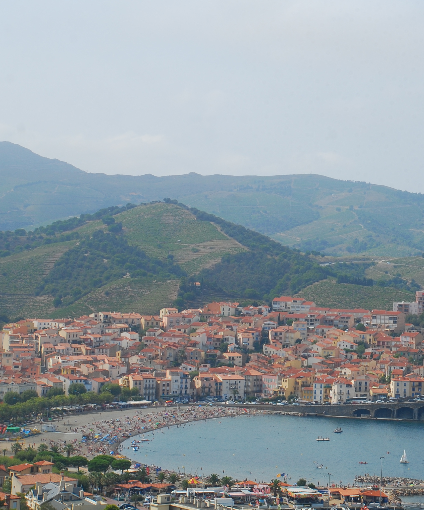 Banyuls plage et vigne