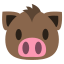 female boar