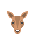 female deer