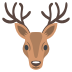 male deer