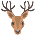 &#x1F98C; Deer