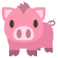 pig