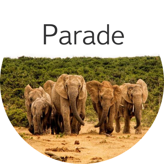 pg-parade