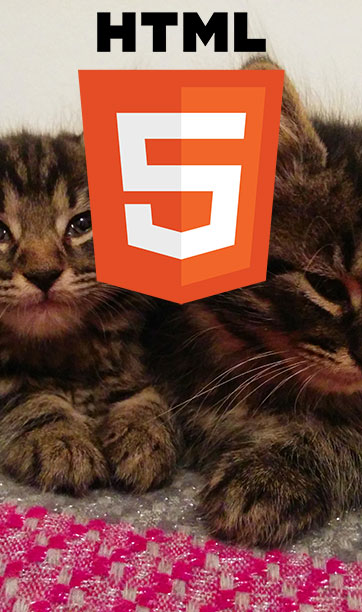 Kittens with HTML5 logo overlaid