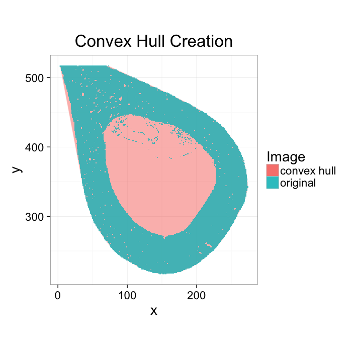 Cortical Segment Convex Hull