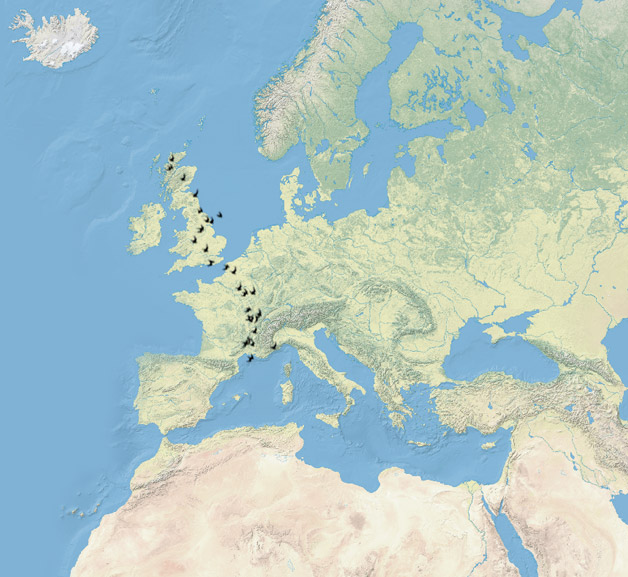 Greenfinch Migration Map