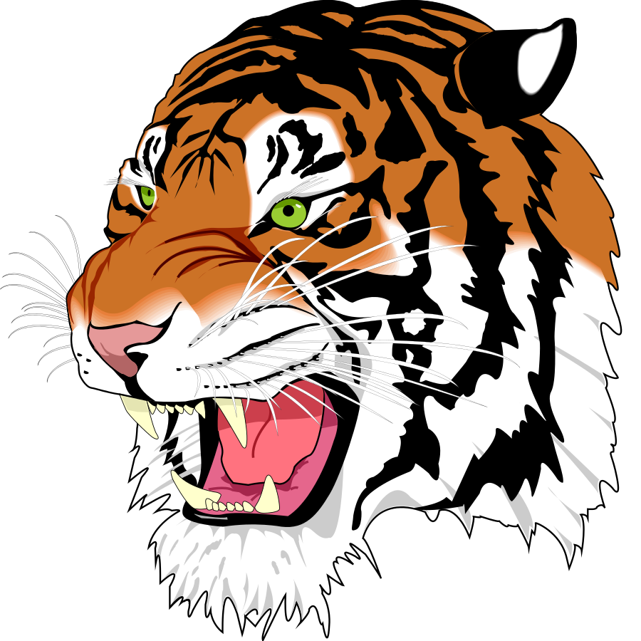 tiger