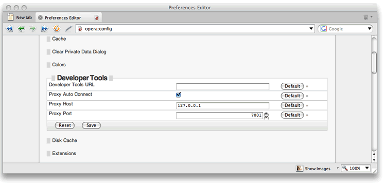 The Developer Tools configuration settings