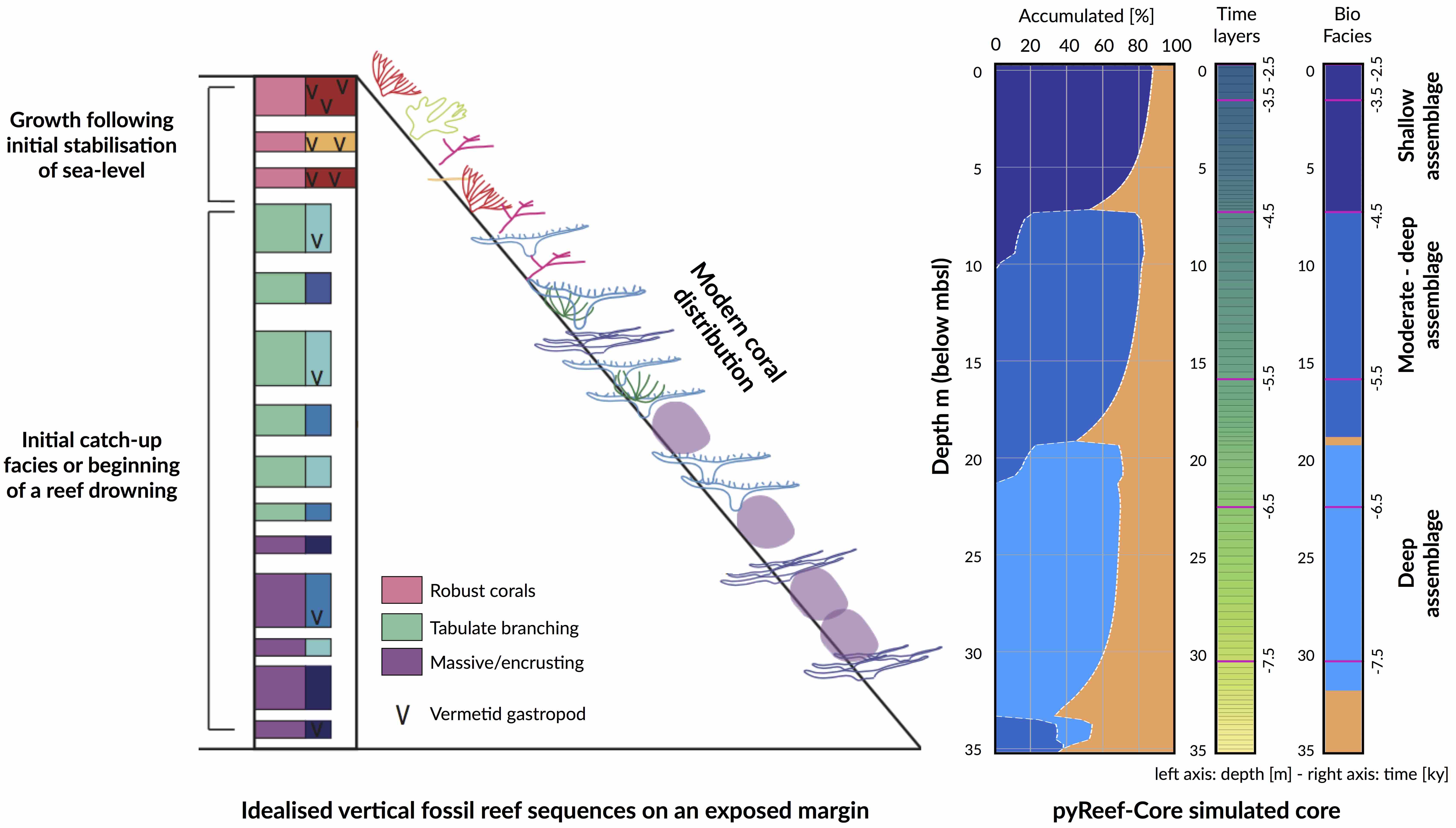 Idealised case shallowing-up fossil reef sequence Idealised case shallowing-up fossil reef sequence