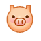 pig